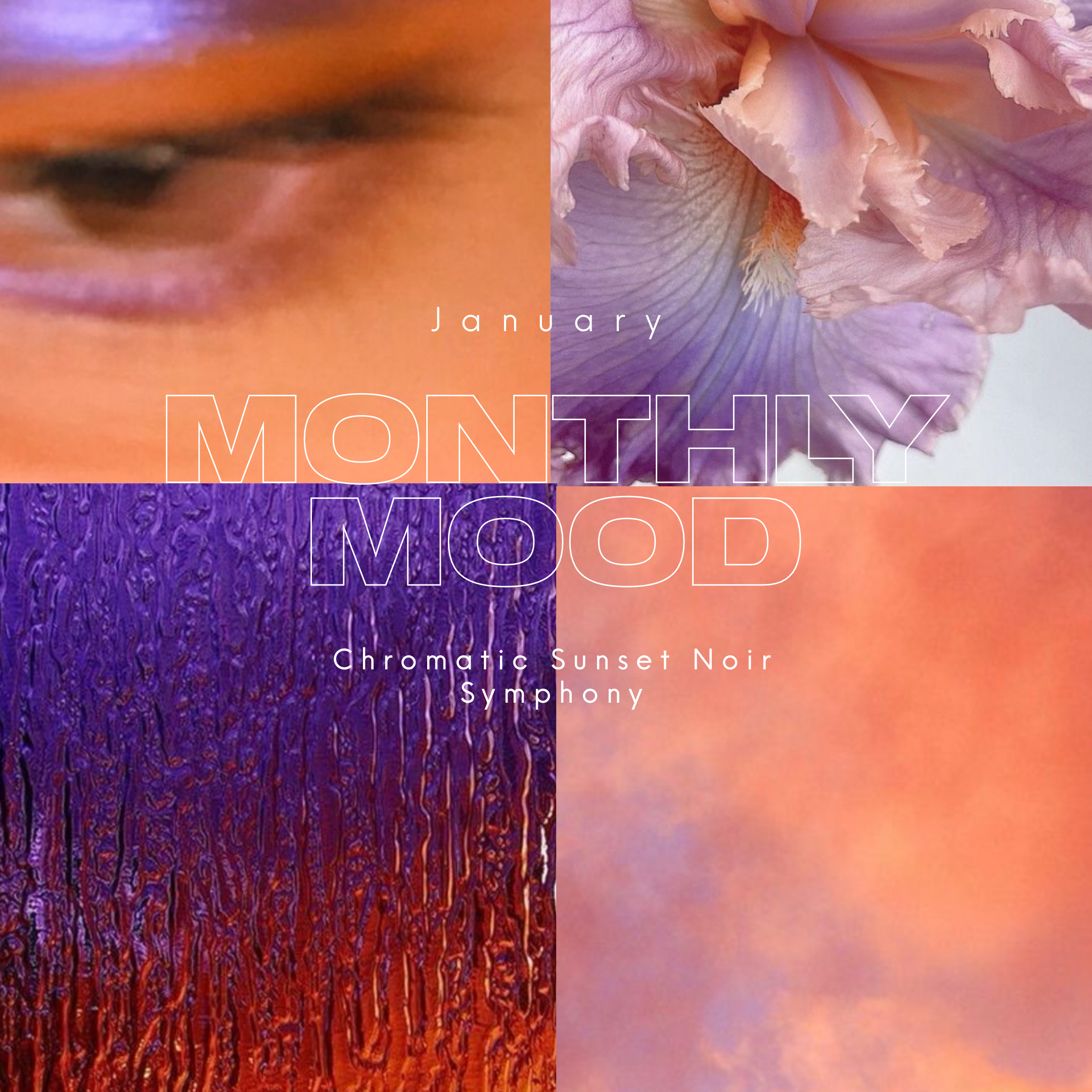 January Monthly Mood: Chromatic Sunset Noir Symphony