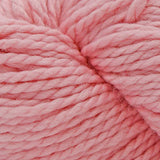 Cascade Yarns 128 Superwash